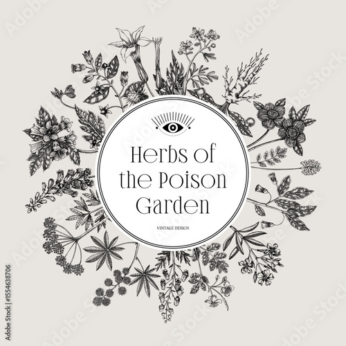 Witchcraft book cover design. Poisonous plants hand-drawn vector illustration. Witch's Herbs Apothecary vintage frame, card, invitation, print. NOT AI generated