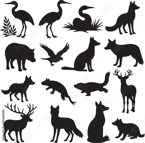 Green forest and wetland wildlife illustrations, Set against a crisp set of silhouettes of animals