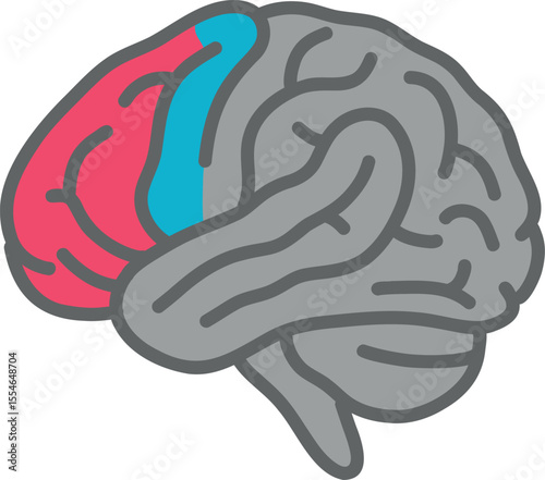 Motor Cortex and Sensory Cortex