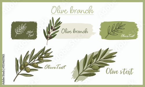 Hand-drawn Olive Branch Label Set – Botanical Vector Illustration