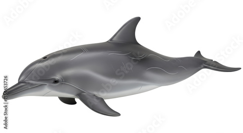Schilderij op canvas Isolated Bottlenose Dolphin