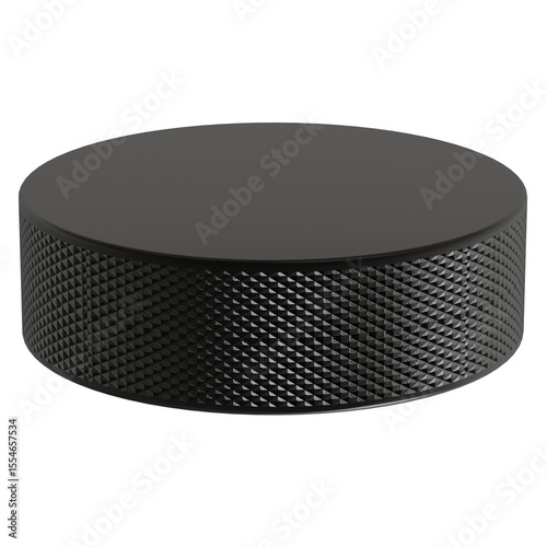Принти на полотні Hockey puck