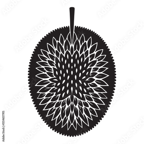 hedgehog isolated on white