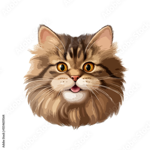 Cat head