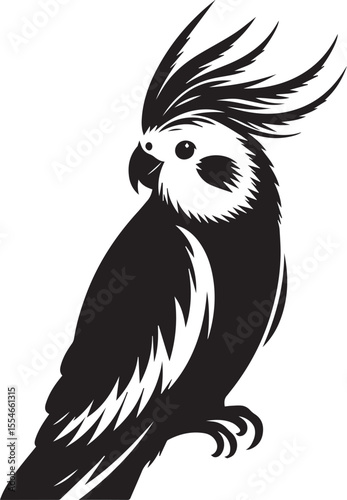 Cockatiel Parrot Vector 