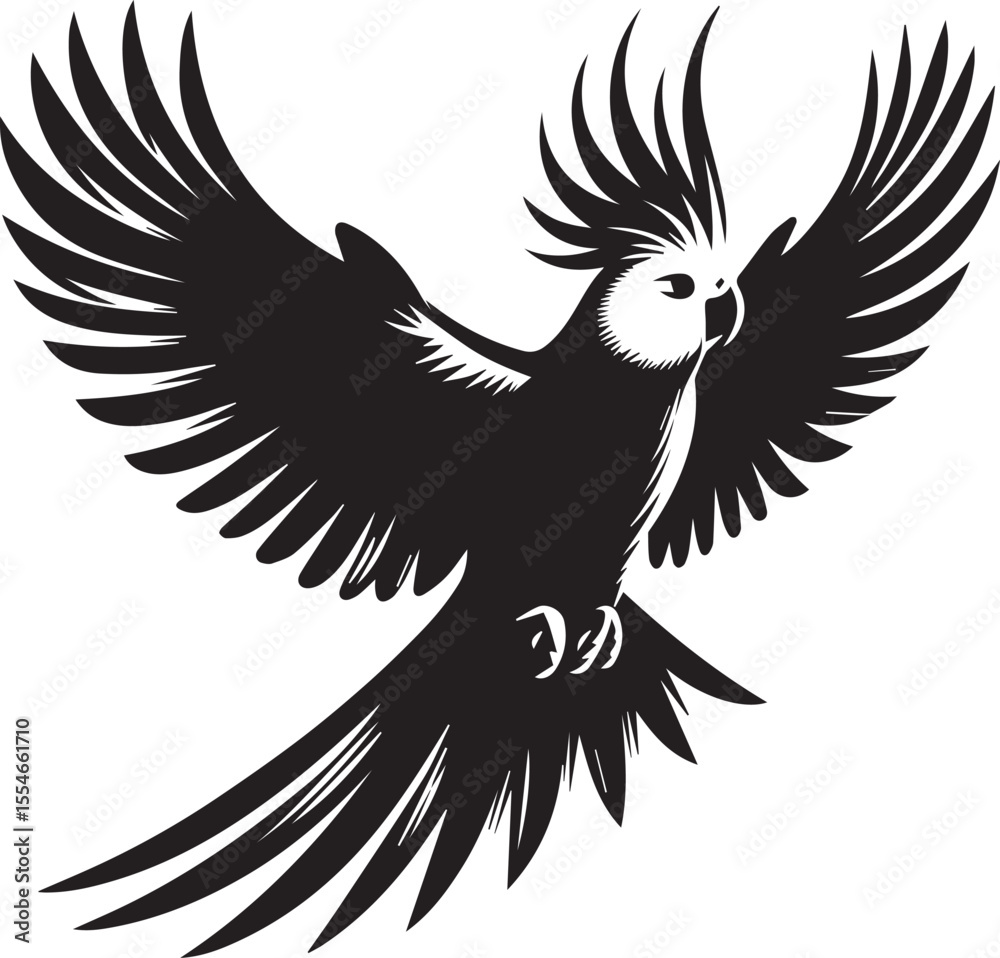 Obraz premium Cockatiel Parrot Vector 