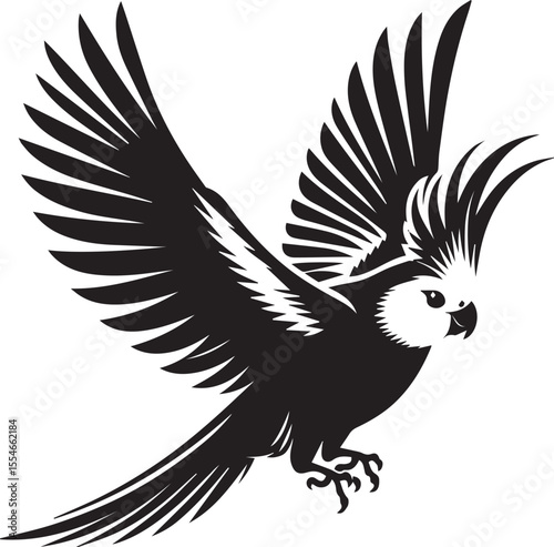 Cockatiel Parrot Vector 