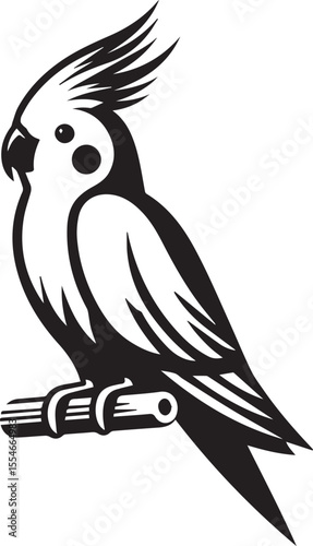 Cockatiel Parrot Vector 
