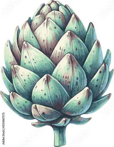 Vector watercolor painted illustration of an artichoke