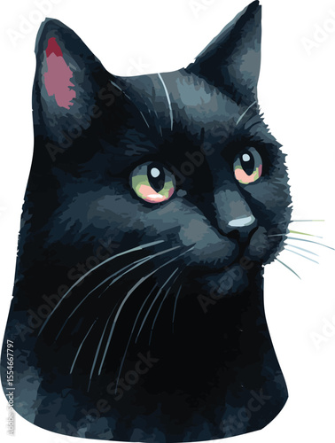 Vector watercolor painted illustration of a black cat


