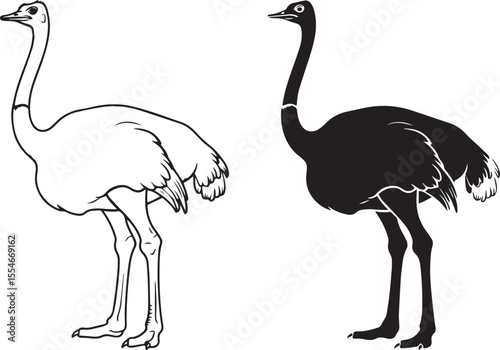 Ostrich Bird Standing Silhouette and Detailed Outline