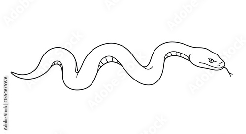 Scary snake drawing. It is a black and white outline image of a scary snake, depicted with a menacing expression and slithering body. Vector sketch line art draw.