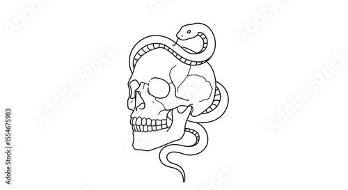 Skull and snake drawing. It is a black and white outline image of a skull with a snake coiled around it, symbolizing mortality and rebirth. Vector sketch line art draw.