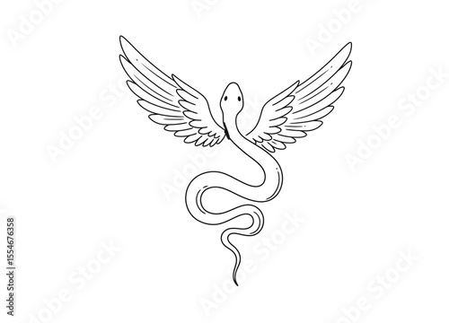 Snake with wings drawing. It is a black and white outline image of a mythical winged snake, symbolizing transformation and freedom. Vector sketch line art draw.