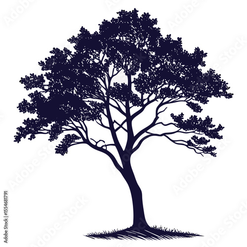 Vector silhouette illustration of a lush tree with detailed leaves and grass base