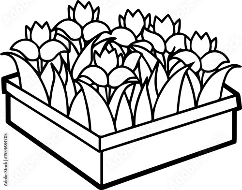 Flowerbeds black outline vector and illustration, coloring book page