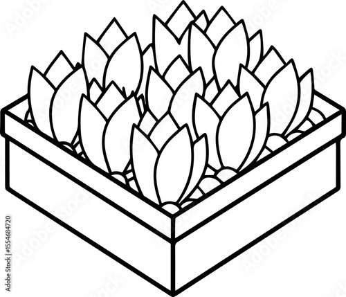Flowerbeds black outline vector and illustration, coloring book page