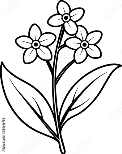 Forget Me Not black outline vector and illustration, coloring book page