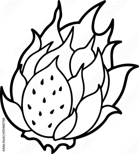 Dragon Fruit black outline vector and illustration, coloring book page