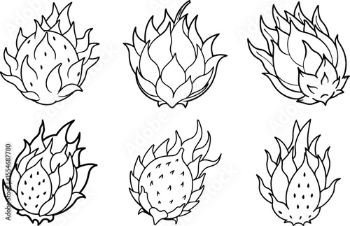 Set of Dragon Fruit black outline vector and illustration, coloring book page