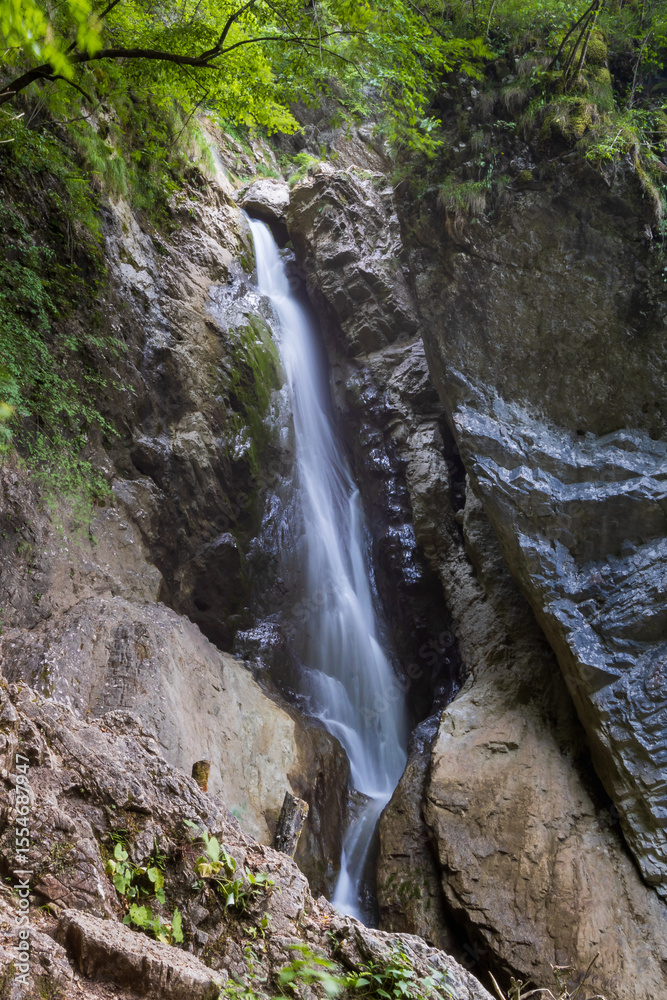 Fototapeta premium waterfall in the woods