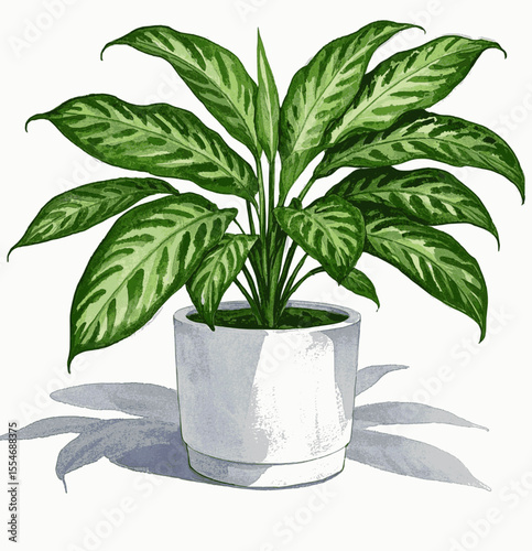 Everlasting Prosperity Auspicious plants Evergreen Aglaonema isolated watercolor vector illustration svg