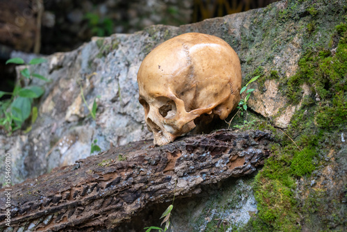 Human skulls in a Toraja funeral cave, Sulawesi, Indonesia