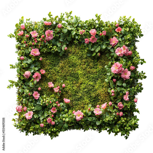 frame with flowers on white background
