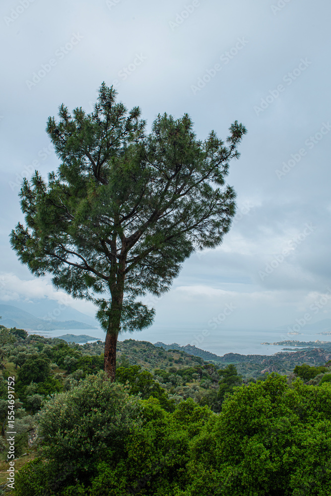 Fototapeta premium View of Lake Bafa from Latmos Caria hiking trail in spring. View of Lake Bafa from Latmos mountain. Latmos Caria trekking trail. Muğla, Türkiye.