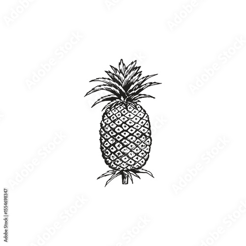 Discover our vibrant summer fruits pineapple vector illustration, perfect for adding a tropical touch to your digital graphic design projects