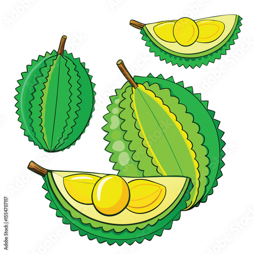 Green spiky fruit with yellow segments vector illustration durian tropical
