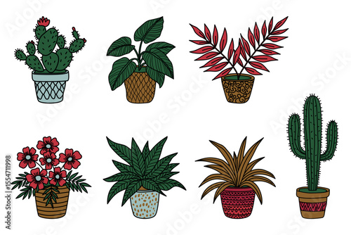 Set of hand-drawn indoor potted plants and cacti illustration