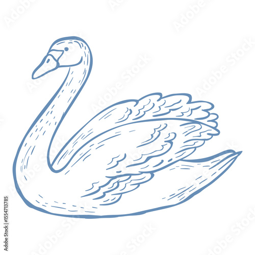 Vector Illustration of Swan on the White Background.