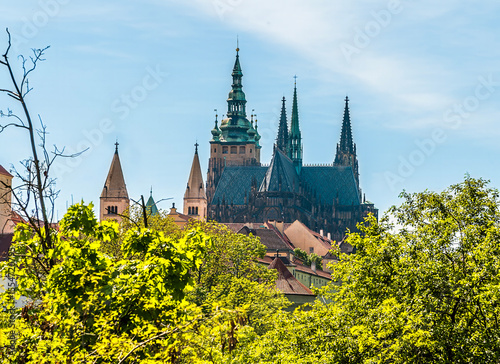 A view from the castle gardens towards the cathedral in Prague in springtime