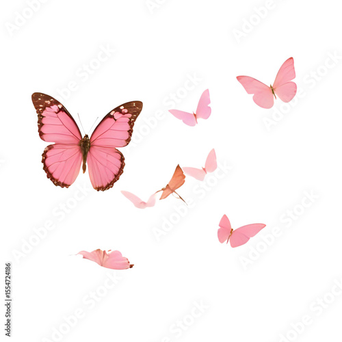 a group of butterflies on a white background
