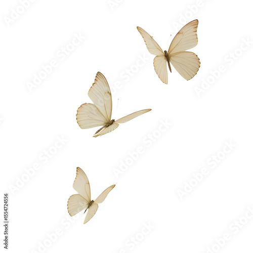 a group of butterflies on a white background