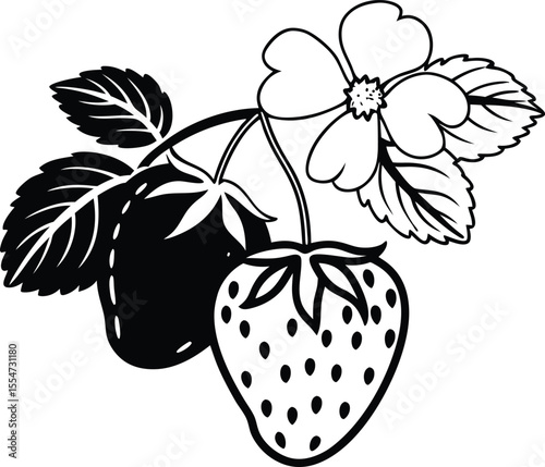 Strawberry Fruit With Seeds Silhouette Vector, vector illustration of a strawberry