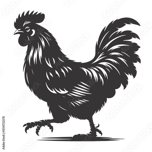 Walking chicken silhouette in black vector perfect for poultry designs backyard farm art and food graphics