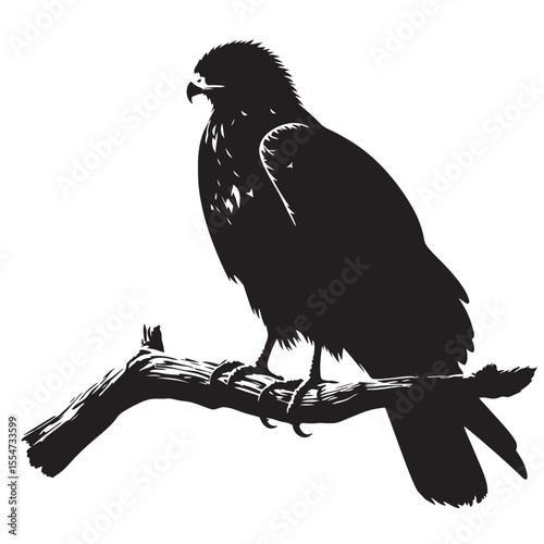 Perched hawk silhouette black vector for bird of prey art wildlife clipart and outdoor nature designs