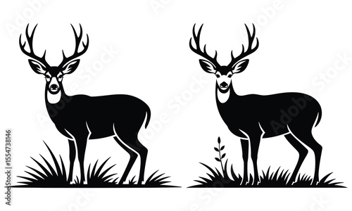 silhouette of deer