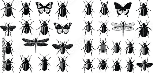 Insect silhouettes with beetles, butterflies, and dragonflies for entomology designs