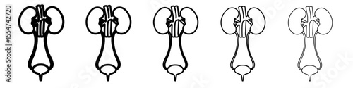 Urinary system icon flat simple outline logo