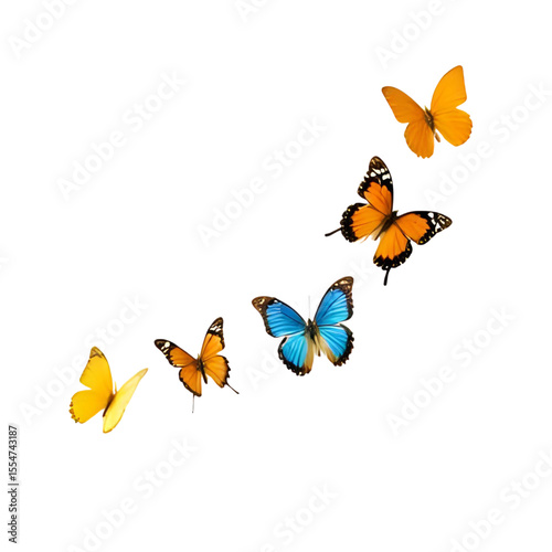 a group of butterflies on a white background