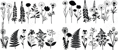 Wildflower silhouette collection vector, meadow floral botanical elements for design and decoration projects