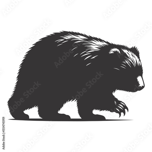 Black vector silhouette of walking wombat for Australian wildlife clipart and cute creature art