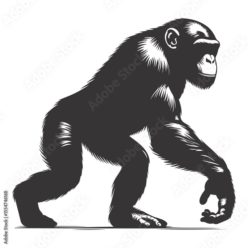 Black vector silhouette of walking chimpanzee for jungle wildlife clipart and smart primate art