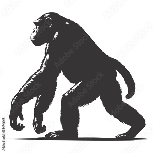 Walking chimpanzee silhouette black vector for jungle wildlife and primate nature creature graphics