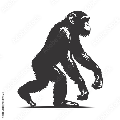 Vector illustration of walking chimpanzee silhouette for smart primate art and jungle wildlife motion designs