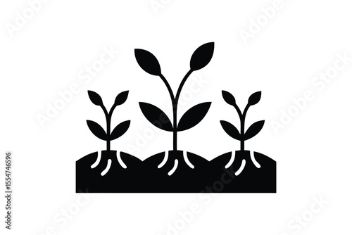 Three seedling plants growing in soil, symbolizing new beginnings.