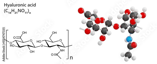 Skeletal model of Hyaluronic Acid molecule in skin care serum. Molecular formula: C14H21NO11 or (C14H21NO11)n. Chemical model: Ball and Stick. Isolated on transparent background. 3D illustration